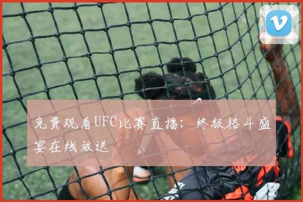 免费观看UFC比赛直播：终极格斗盛宴在线放送
