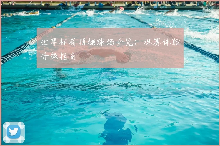 世界杯有顶棚球场全览：观赛体验升级指南